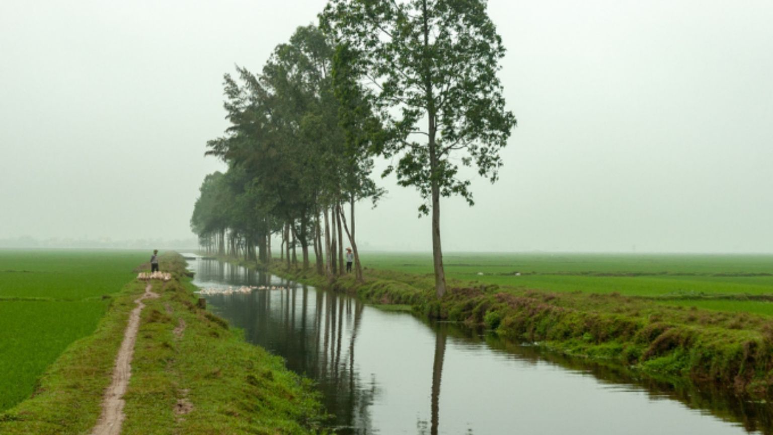 Intrusione salina, prepariamoci ad affrontarla