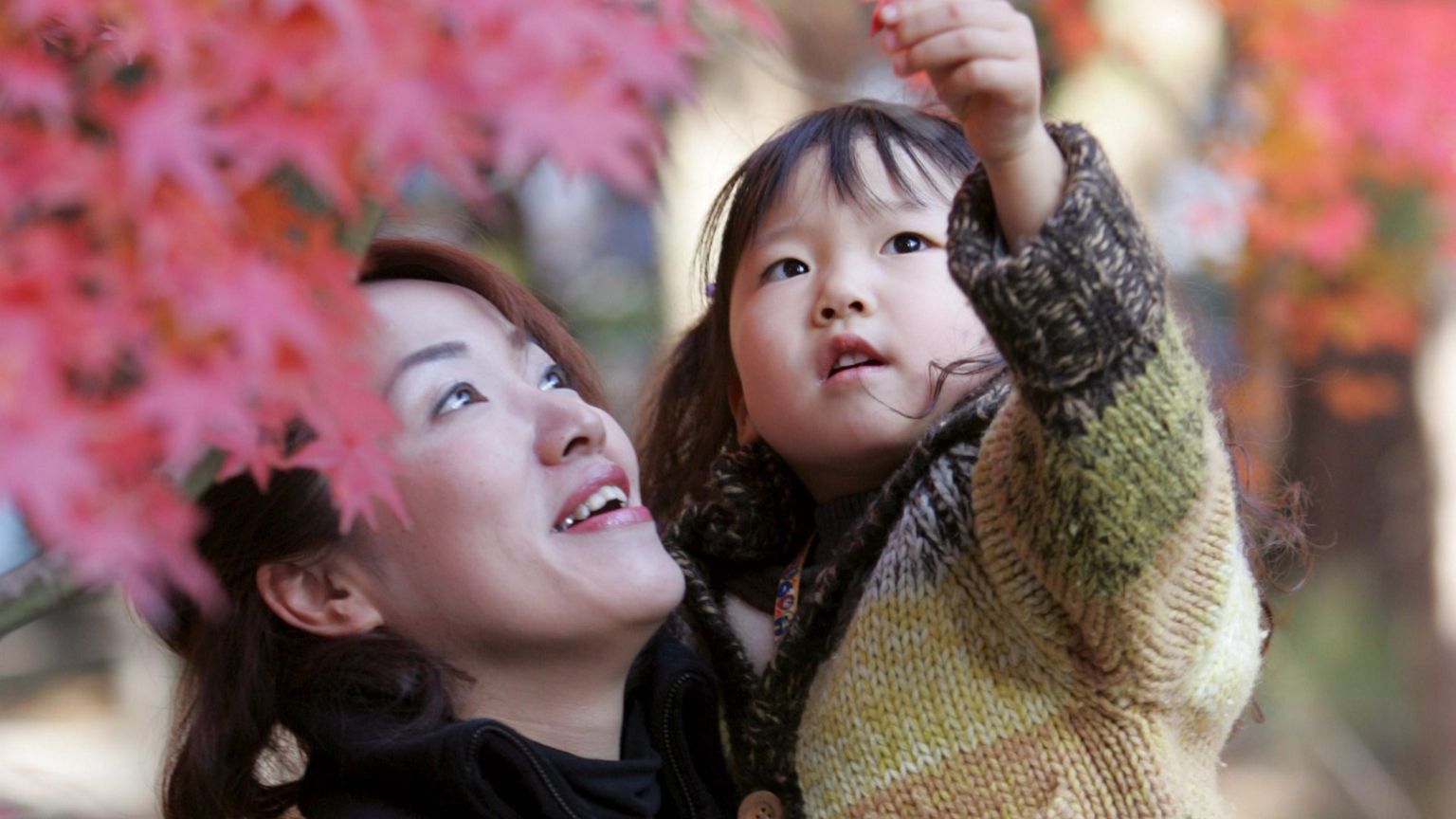 In Giappone debutta l'affido condiviso in caso di separazione