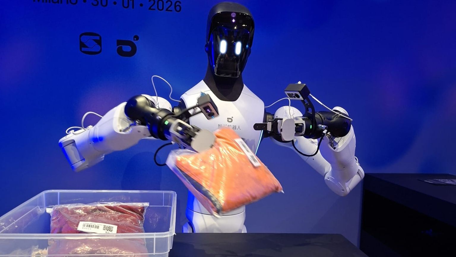 Lavorano, ci fanno compagnia, giocano: i robot umanoidi sono già in mezzo a noi