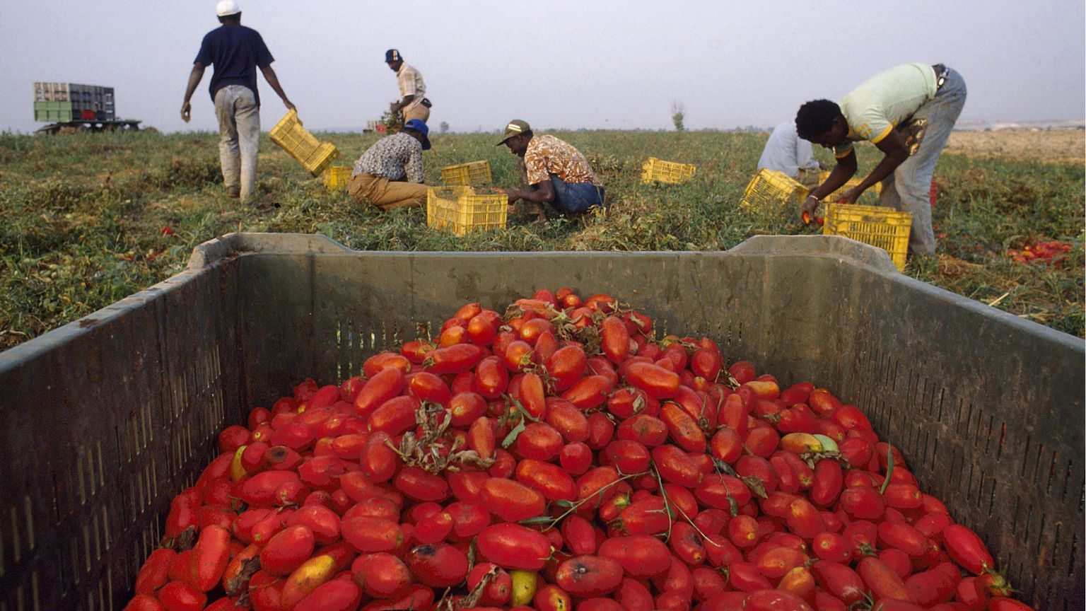 Il dramma del bracciante Alagie, 29 anni, che si è impiccato nella baraccopoli