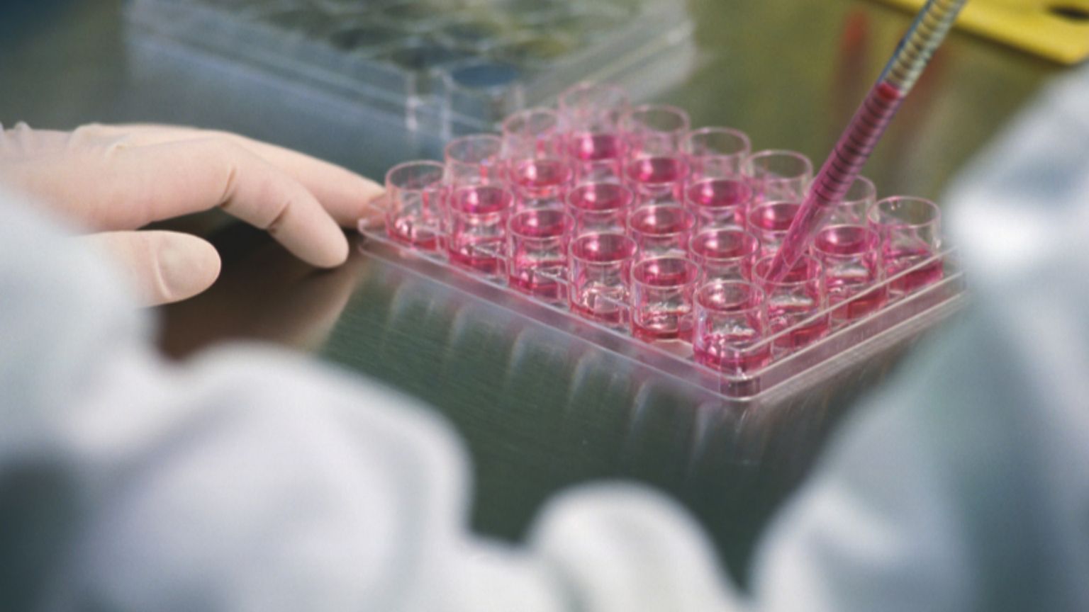 Terapia genica e farmaci con Rna, dal Pnrr successi italiani. «Ma ora va data continuità»