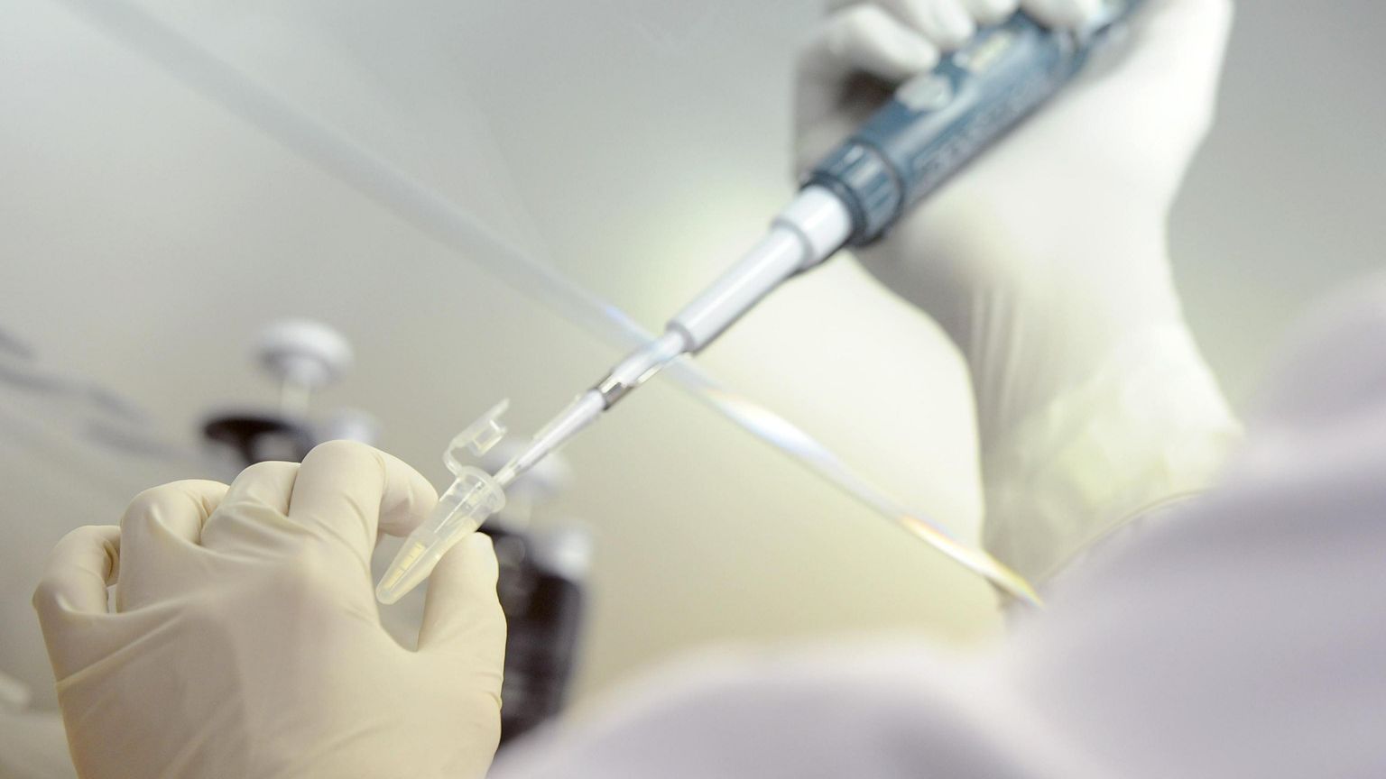 Mamma a 49 anni con i gameti del marito morto un decennio prima: il caso negli Usa (e cosa succederebbe in Italia)