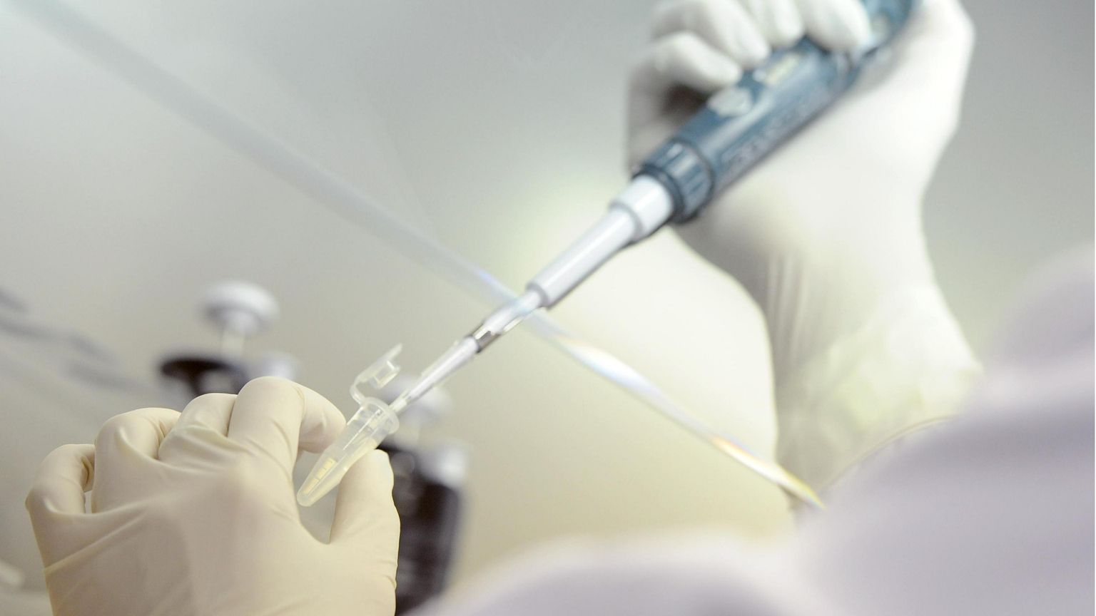 Eutanasia, guerre, cultura di morte: qui: servono nuovi “profeti” della vita