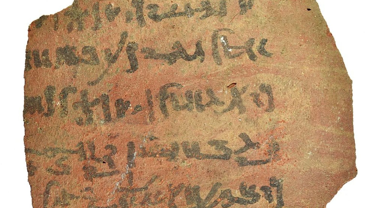 Liste della spesa e quaderni di scuola: scoperti 13 000 nuovi testi degli antichi Egizi