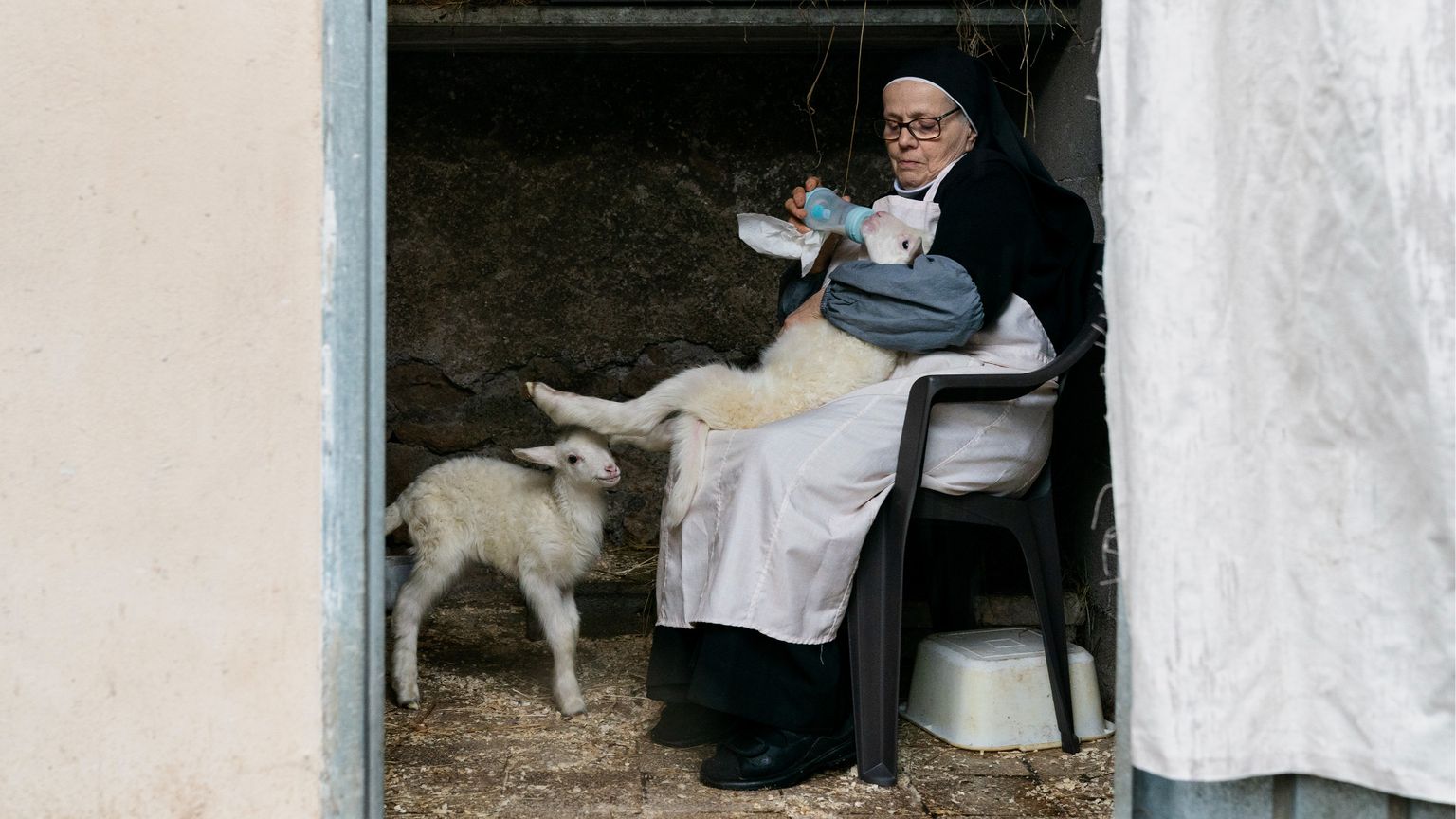 "Agnus Dei", arrivano in sala gli agnellini del Papa