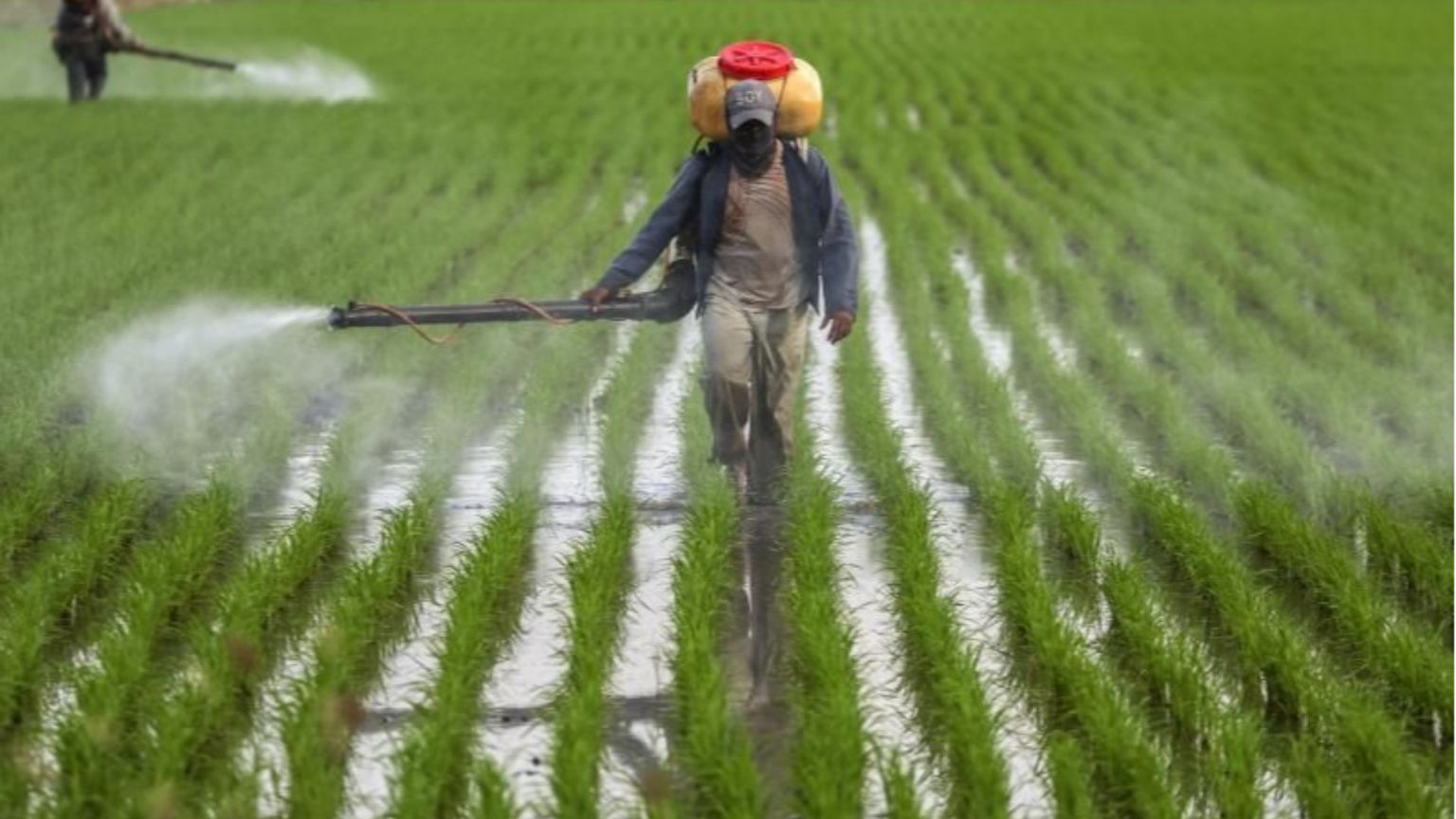 Su fertilizzanti ed emissioni di CO2 abbiamo un pasticcio chiamato Cbam