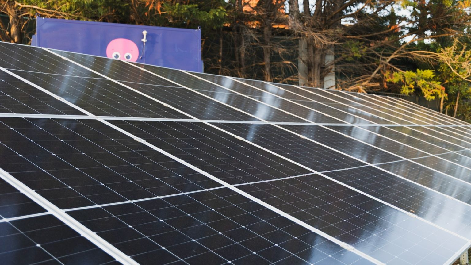 Per le bollette il modello Octopus: «Puntiamo su Cer e rinnovabili»