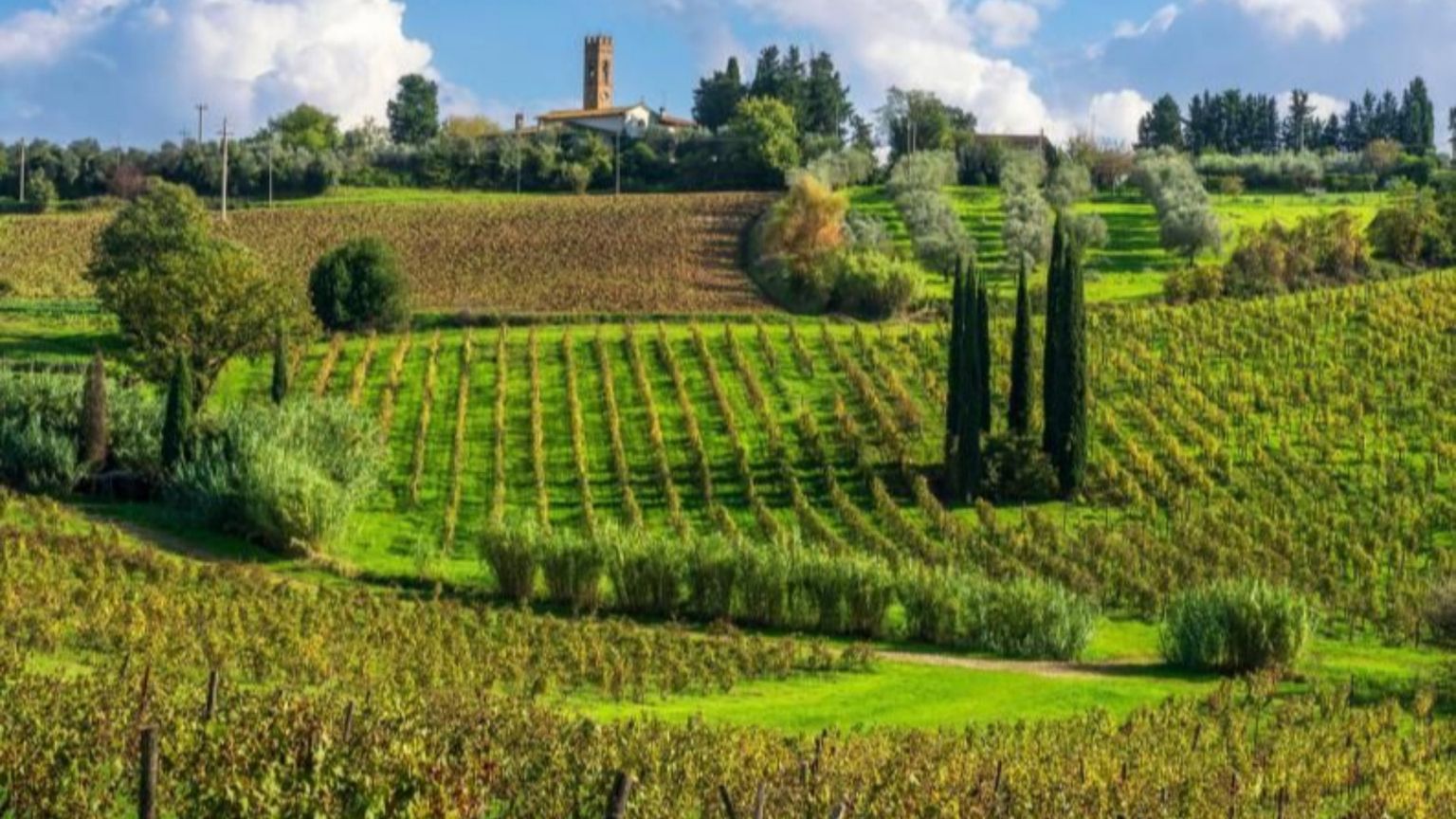 Il panorama del Chianti, in Toscana, sempre ricercato dai turisti