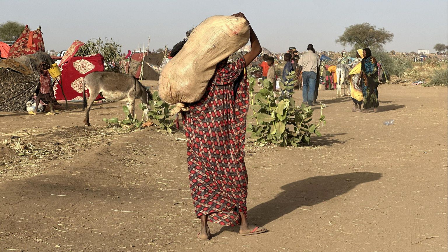 Non lasciamo solo il Sudan