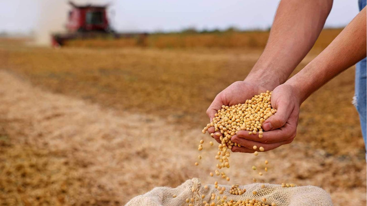 Effetto Hormuz, i prezzi globali del cibo sono ai massimi da quattro anni