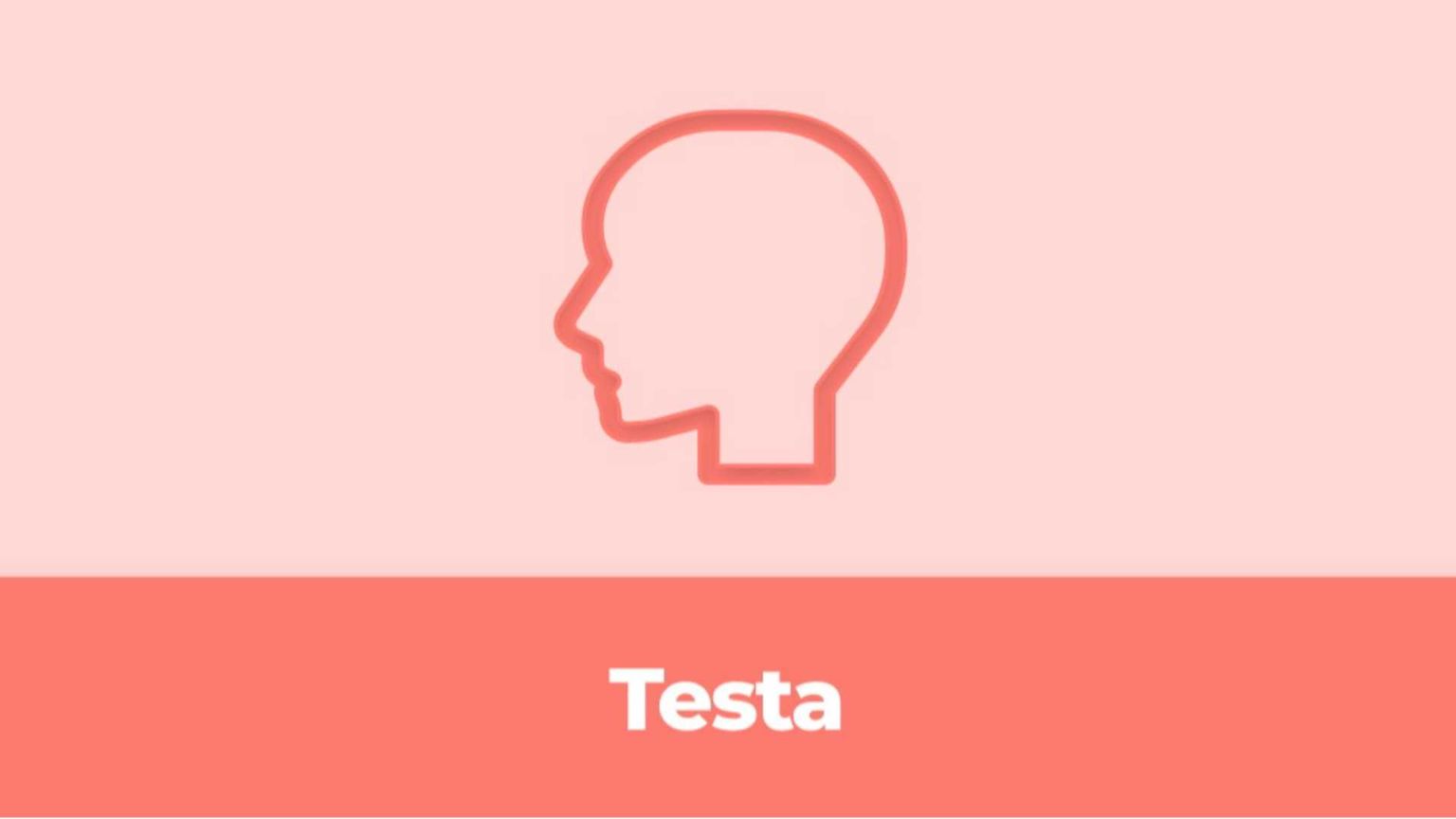 Usiamo la TESTA