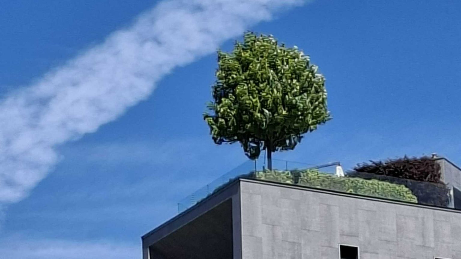 Abbiamo paura di considerare il caldo un tema politico