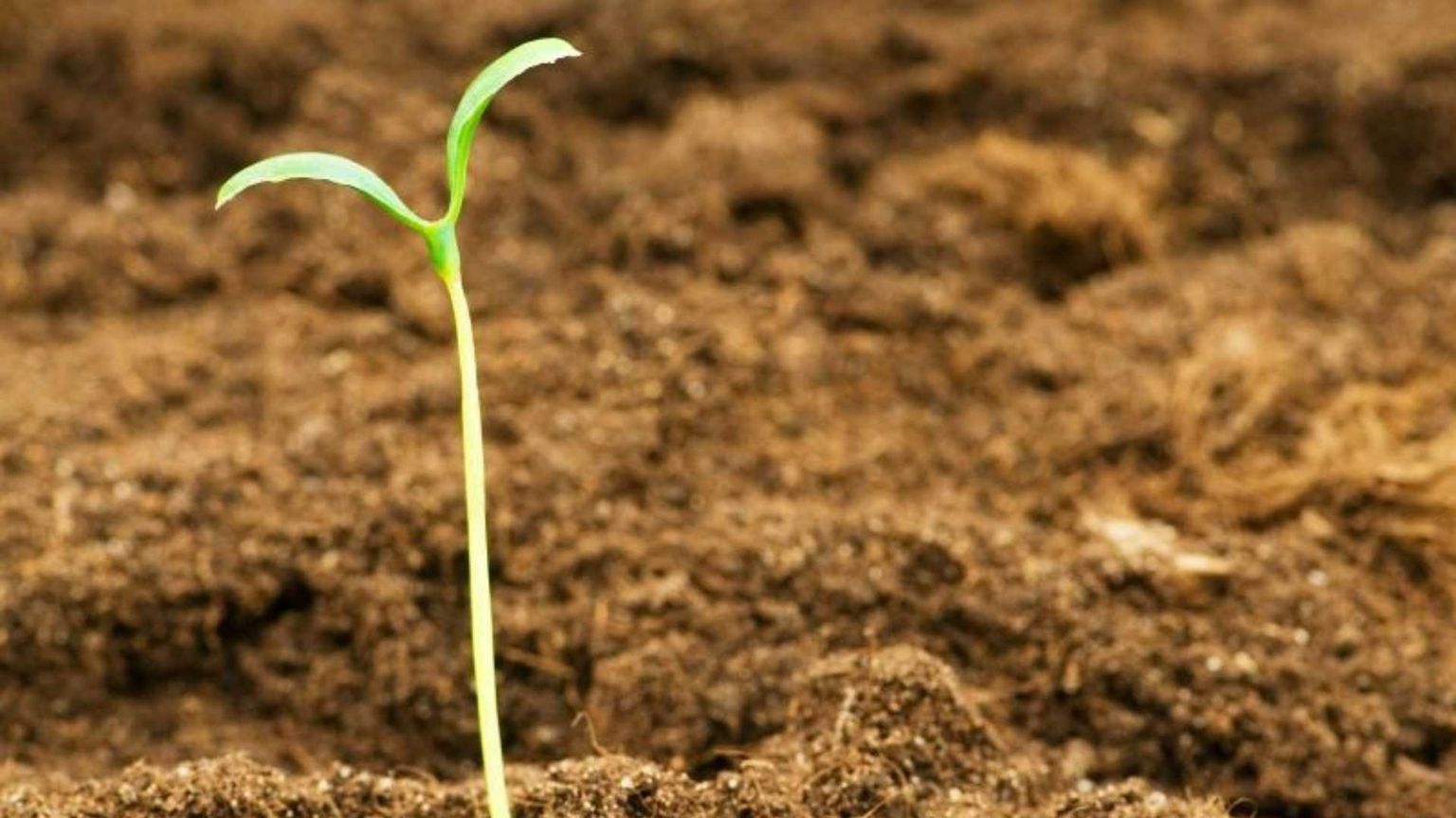 La speranza è lo «stare al mondo» di chi ha conosciuto la disperazione