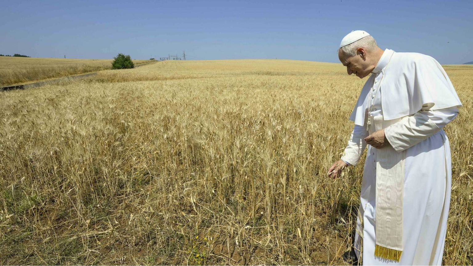 Leone XIV accelera sulla svolta verde del Vaticano: nasce la Fondazione “Fratello Sole”