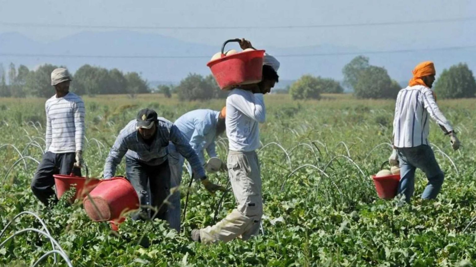 Non solo Amendolara: il Far West dei nuovi schiavi tra i rider, nei campi, nella moda e nei cantieri