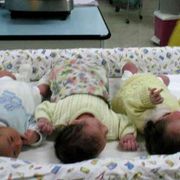 «Così ho prenotato il figlio perfetto»