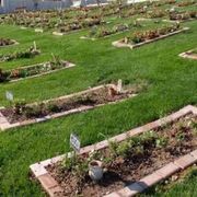 Il sogno dell'Europa si ferma a Izmir