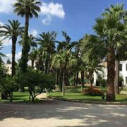 Contro il terrorismo, i giusti parlano arabo