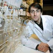 Le nuove frontiere dell’ingegnere biomedico