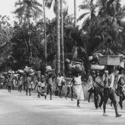 Biafra il sole giallo non si spegne