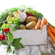 L'App per unire i Gruppi d'acquisto solidale