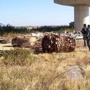 «Scorie interrate, impennata di tumori»