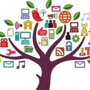 Giornata mondiale, le idee viaggiano sui «webinar»