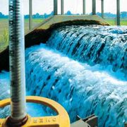 Inquinamento da Pfas in Veneto. Greenpeace: chi pagherà i risarcimenti?