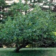 Marsiglia: sponde che si incrociano e preghiere che risuonano in pace