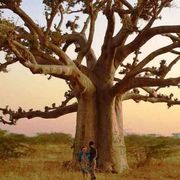 Senegal, viaggio nel paese africano dove dialogano islam e cristianesimo