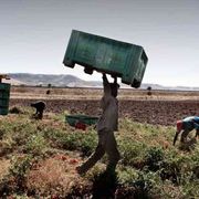 Regioni in campo contro i caporali e i ghetti di schiavi