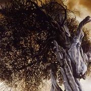 L'elogio degli alberi