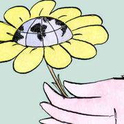 Un mondo più sostenibile a lezione da papa Francesco