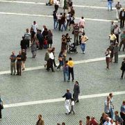 Danni e rimedi dal taglio delle radici