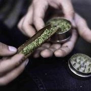 Cannabis, quella light non esiste