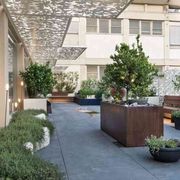 Alberi e giardini che cambiano le città e fanno «guarire»