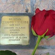 Una «Pietra d'inciampo» sotto casa: così Mirandola ricorda il beato Focherini