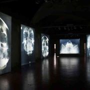 Hitler, radiografia del Male