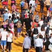 «Insieme», è realtà plurale e presto sarà Associazione