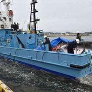 Caccia alla balena Tokyo riparte: «È nostro diritto»