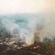 Senza l'Amazzonia per il mondo c'è poca speranza di vita