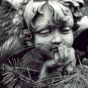 Se il corpo è ridotto a concime