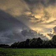 Uscire e tornare a vivere: il nuovo sguardo di re Théoden