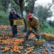 I vescovi della Calabria: è necessario liberare i territori dai caporali