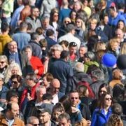 «Omofobia, termini che ci offendono». Realtà e studio, non paradigmi