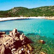 «Durante il ricovero per Covid ho capito la sfida ecologica»