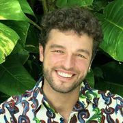 Video musicali per salvare il pianeta