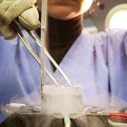 "Embrioni viaggiatori": tra India e Ucraina la rotta dell'utero in affitto