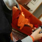 Internet e la sindrome del pesce rosso (la memoria di 8 secondi)