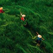 Adamo dove sei? Tra la discarica e il Giardino